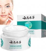 Japanese Melasma Cream (1 Pcs)